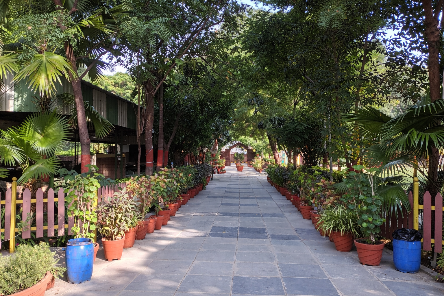 Resort & Amenities