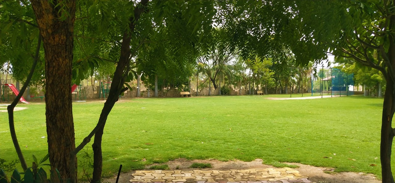 Resort & Amenities