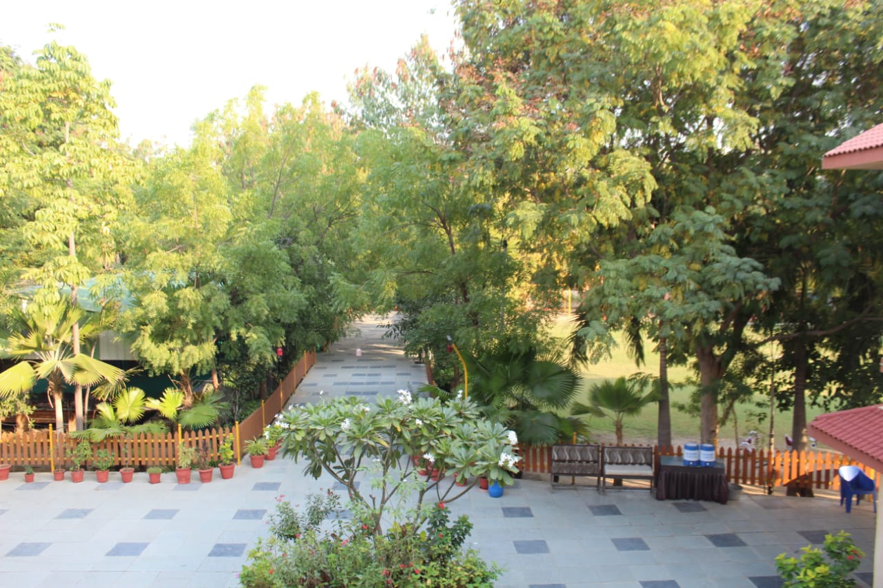 Resort & Amenities