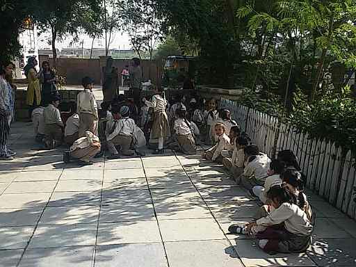 School Picnic Fun