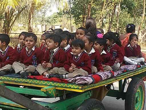 School Picnic Fun