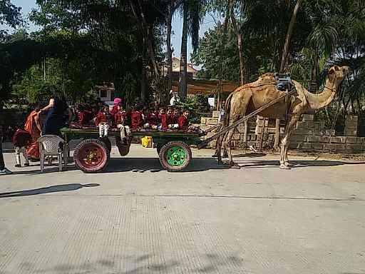 School Picnic Fun