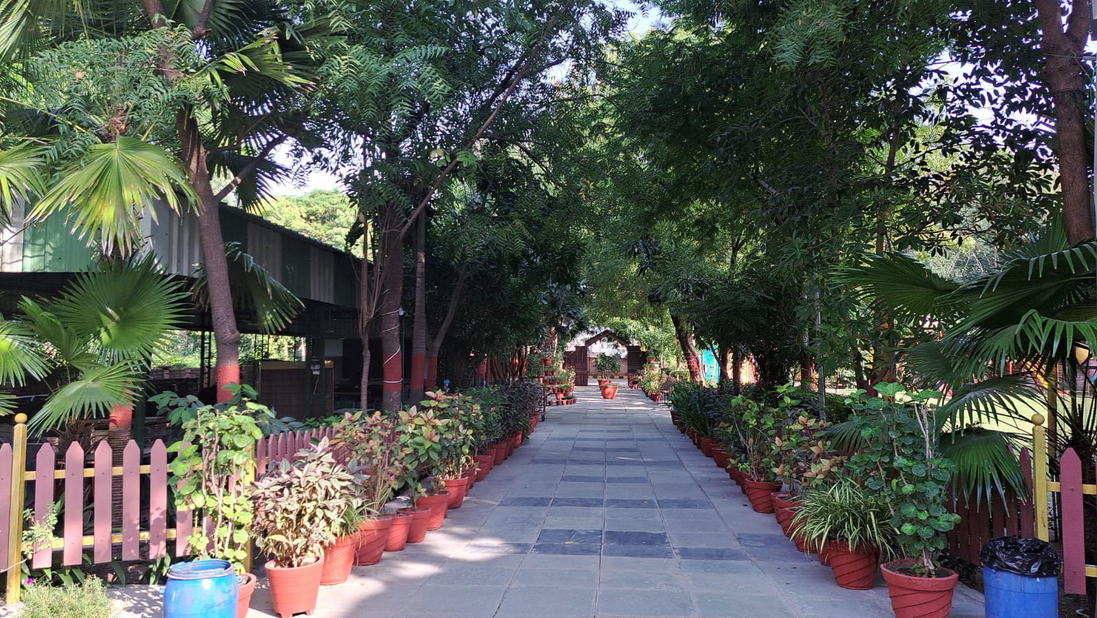 Scenic Walkway